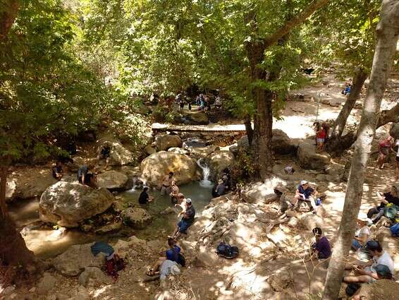 נחל עמוד // צילום: גאדו שנאן - רשות הטבע והגנים